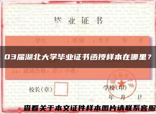 03届湖北大学毕业证书函授样本在哪里？缩略图