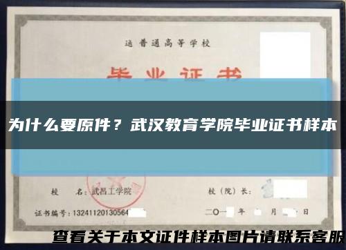 为什么要原件？武汉教育学院毕业证书样本缩略图