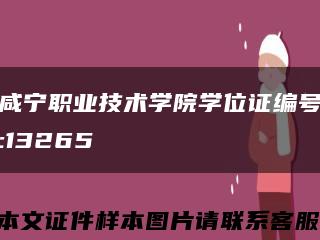 咸宁职业技术学院学位证编号:13265缩略图