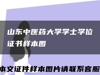 山东中医药大学学士学位证书样本图缩略图