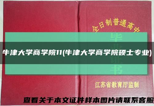 牛津大学商学院11(牛津大学商学院硕士专业)缩略图