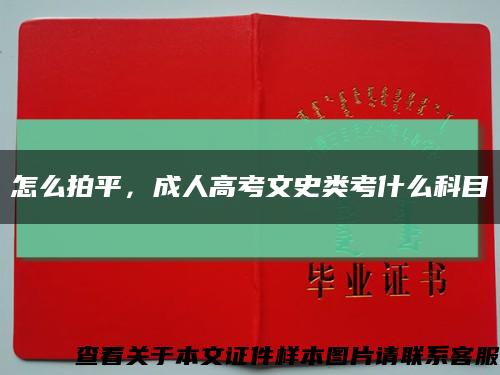 怎么拍平，成人高考文史类考什么科目缩略图