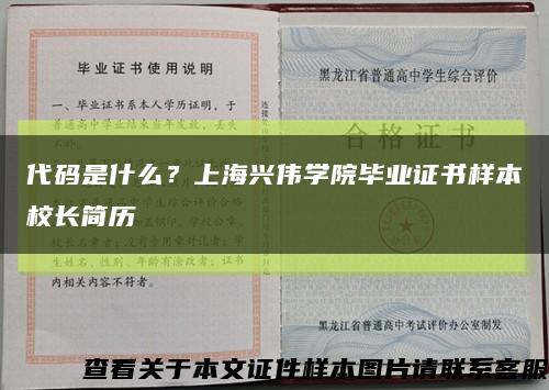 代码是什么？上海兴伟学院毕业证书样本校长简历缩略图