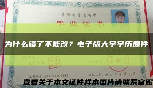 为什么错了不能改？电子版大学学历原件缩略图