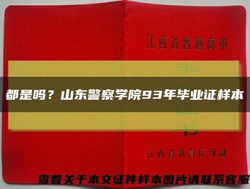 都是吗？山东警察学院93年毕业证样本缩略图