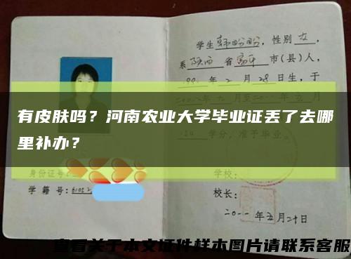 有皮肤吗？河南农业大学毕业证丢了去哪里补办？缩略图