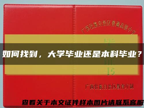 如何找到，大学毕业还是本科毕业？缩略图