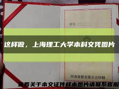 这样做，上海理工大学本科文凭图片缩略图