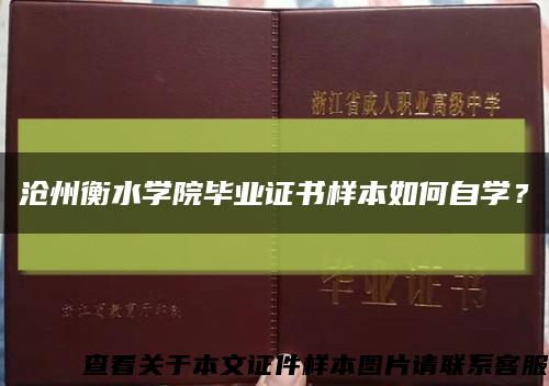 沧州衡水学院毕业证书样本如何自学？缩略图