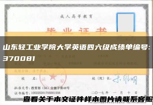 山东轻工业学院大学英语四六级成绩单编号:370081缩略图