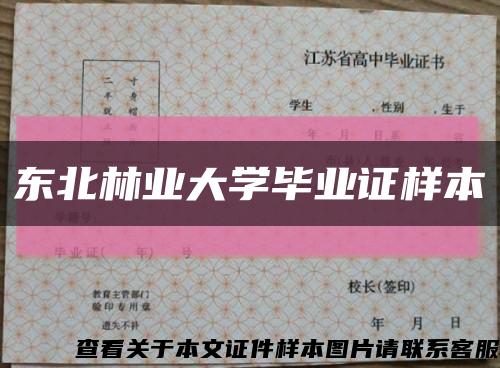 东北林业大学毕业证样本缩略图