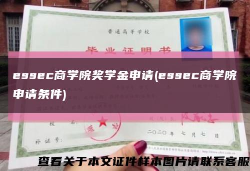 essec商学院奖学金申请(essec商学院申请条件)缩略图