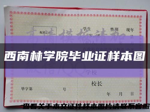 西南林学院毕业证样本图缩略图