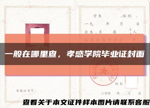 一般在哪里查，孝感学院毕业证封面缩略图