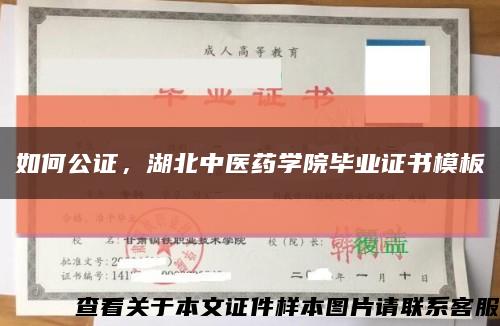 如何公证，湖北中医药学院毕业证书模板缩略图