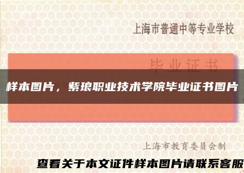 样本图片，紫琅职业技术学院毕业证书图片缩略图