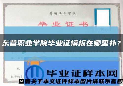 东营职业学院毕业证模板在哪里补？缩略图