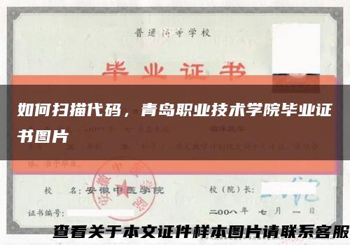 如何扫描代码，青岛职业技术学院毕业证书图片缩略图