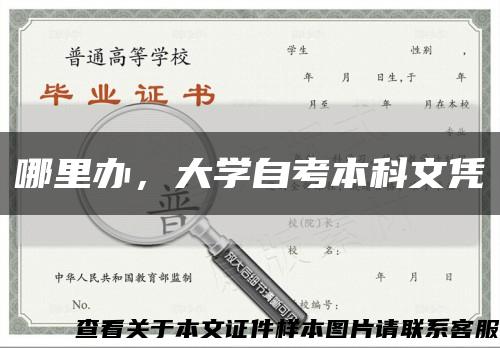 哪里办，大学自考本科文凭缩略图