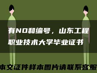 有NO和编号，山东工程职业技术大学毕业证书缩略图