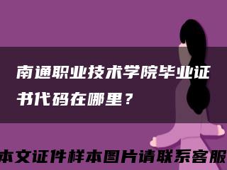 南通职业技术学院毕业证书代码在哪里？缩略图