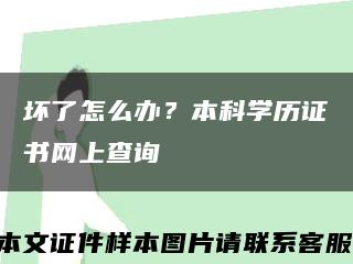 坏了怎么办？本科学历证书网上查询缩略图