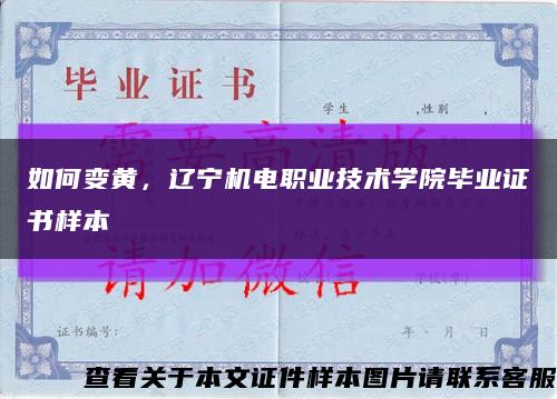 如何变黄，辽宁机电职业技术学院毕业证书样本缩略图