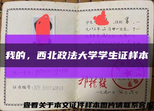 我的，西北政法大学学生证样本缩略图