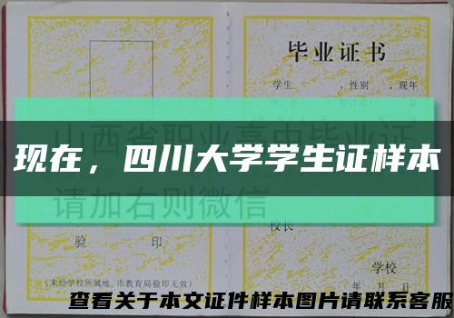 现在，四川大学学生证样本缩略图