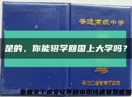 是的，你能辍学回国上大学吗？缩略图