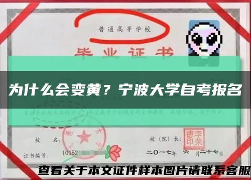 为什么会变黄？宁波大学自考报名缩略图