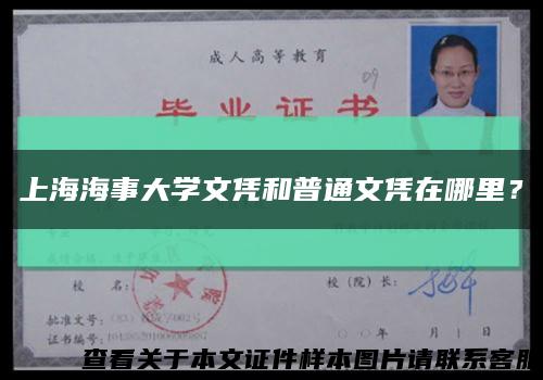 上海海事大学文凭和普通文凭在哪里？缩略图