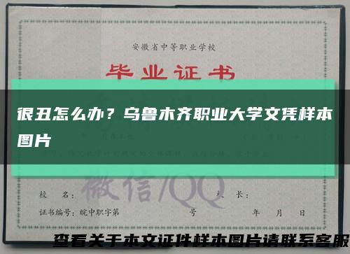 很丑怎么办？乌鲁木齐职业大学文凭样本图片缩略图