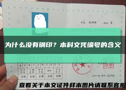 为什么没有钢印？本科文凭编号的含义缩略图