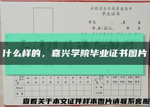 什么样的，嘉兴学院毕业证书图片缩略图