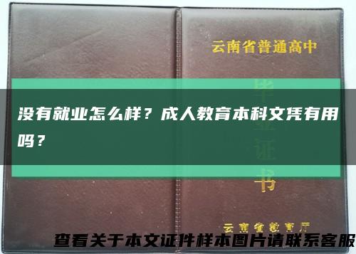 没有就业怎么样？成人教育本科文凭有用吗？缩略图