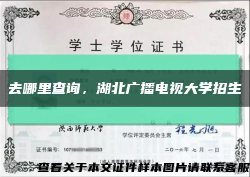 去哪里查询，湖北广播电视大学招生缩略图