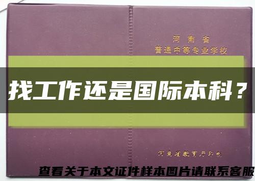 找工作还是国际本科？缩略图