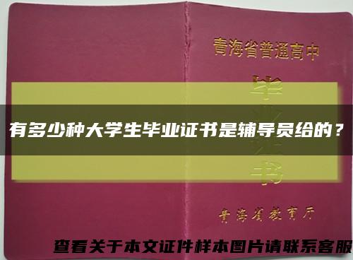 有多少种大学生毕业证书是辅导员给的？缩略图