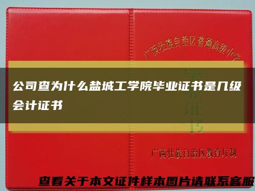 公司查为什么盐城工学院毕业证书是几级会计证书缩略图