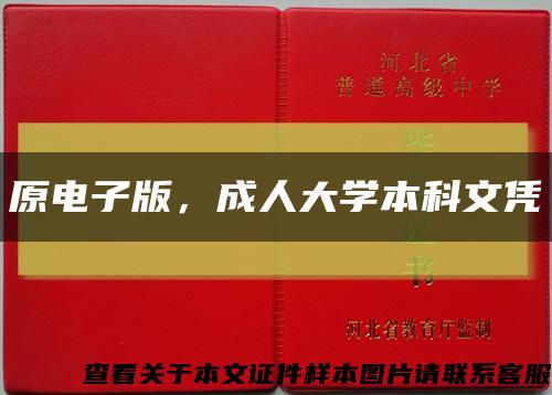 原电子版，成人大学本科文凭缩略图