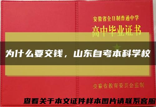 为什么要交钱，山东自考本科学校缩略图