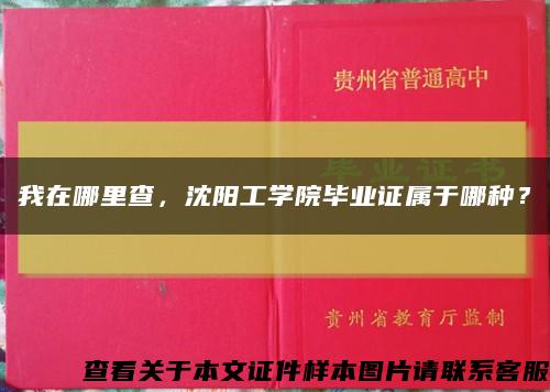 我在哪里查，沈阳工学院毕业证属于哪种？缩略图