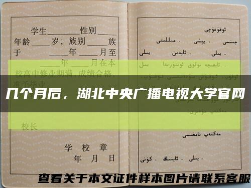 几个月后，湖北中央广播电视大学官网缩略图