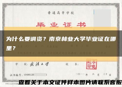 为什么要调资？南京林业大学毕业证在哪里？缩略图