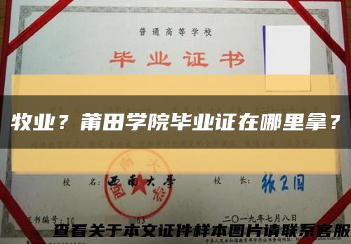 牧业？莆田学院毕业证在哪里拿？缩略图