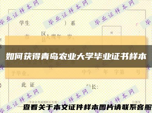 如何获得青岛农业大学毕业证书样本缩略图