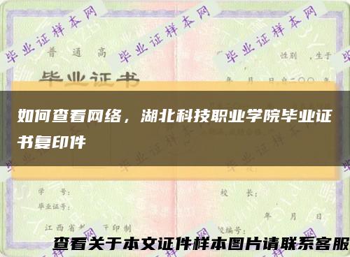 如何查看网络，湖北科技职业学院毕业证书复印件缩略图