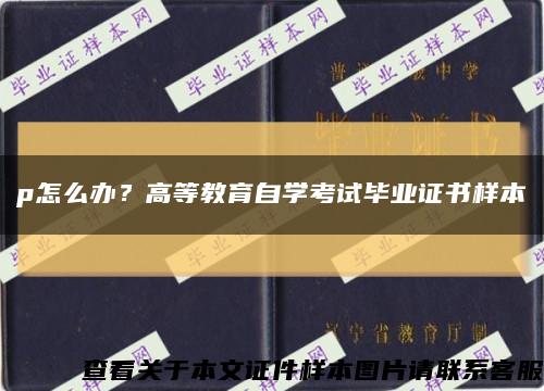 p怎么办？高等教育自学考试毕业证书样本缩略图