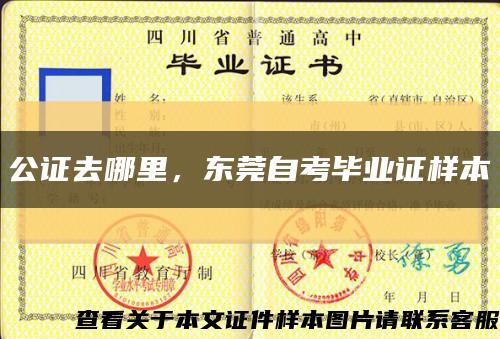 公证去哪里，东莞自考毕业证样本缩略图